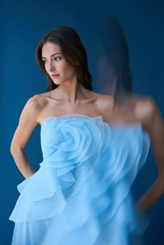 Gilda Draped Rose Gown