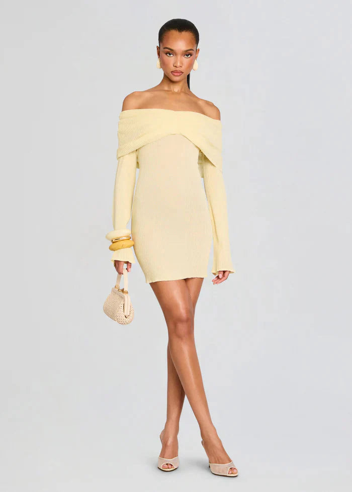 Xen Knit Mini Dress