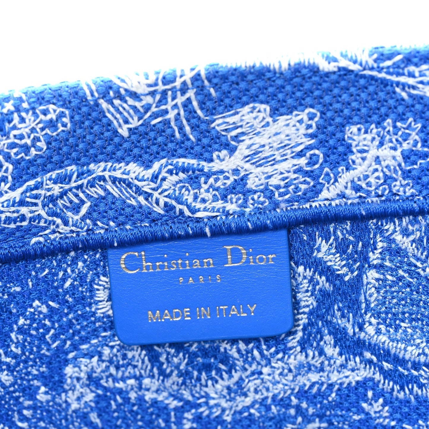 Canvas Embroidered Medium Dioriviera Toile De Jouy Book Tote Fluorescent Blue