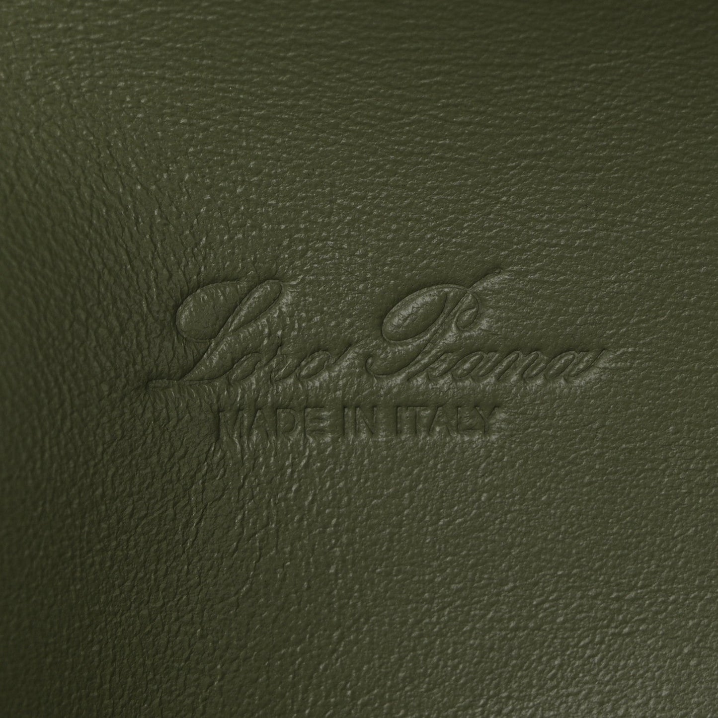 Grained Calfskin L19 Extra Pocket Pouch Sage Brush Leaves