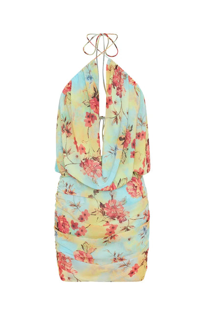 Silver Springs Mini Dress Spring Dream