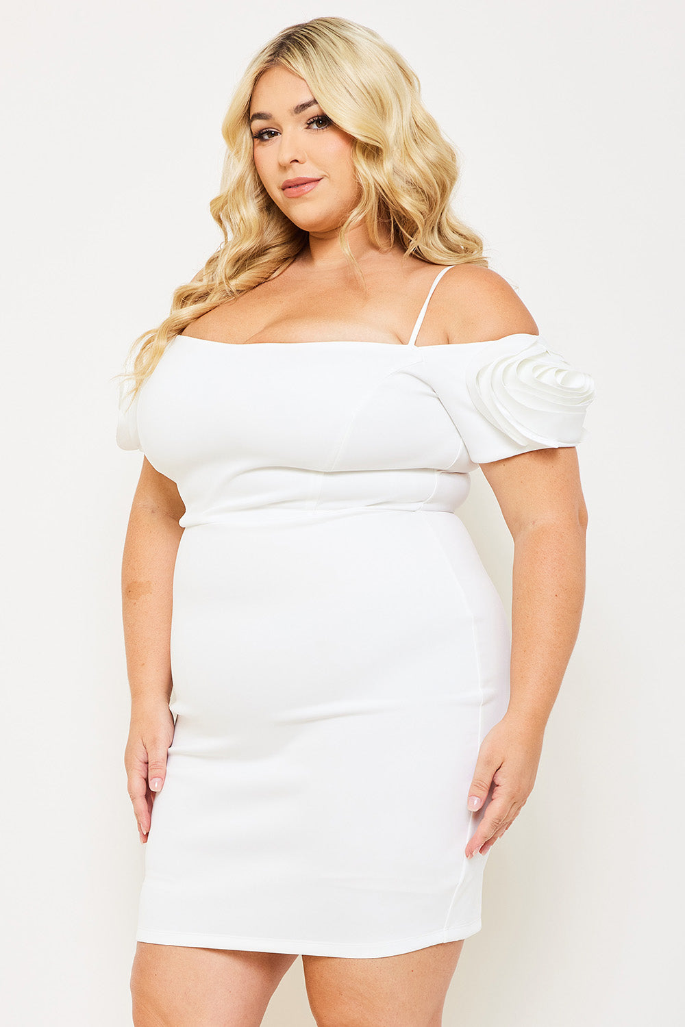 Symphony Dress - Flower Oblique On Sleeve Plus Size Night Out Mini Dress