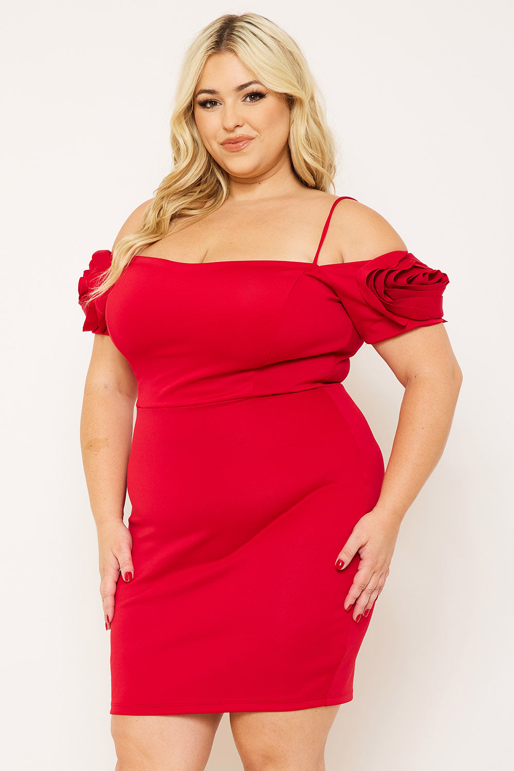 Symphony Dress - Flower Oblique On Sleeve Plus Size Night Out Mini Dress