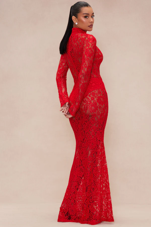Sexy Long Sleeve round Neck Lace See-through Dress